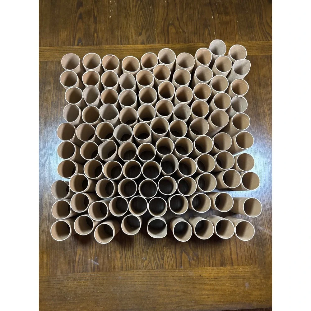 100 Empty Cardboard Toilet Paper Rolls Bulk Lot for DIY Crafts School Projects